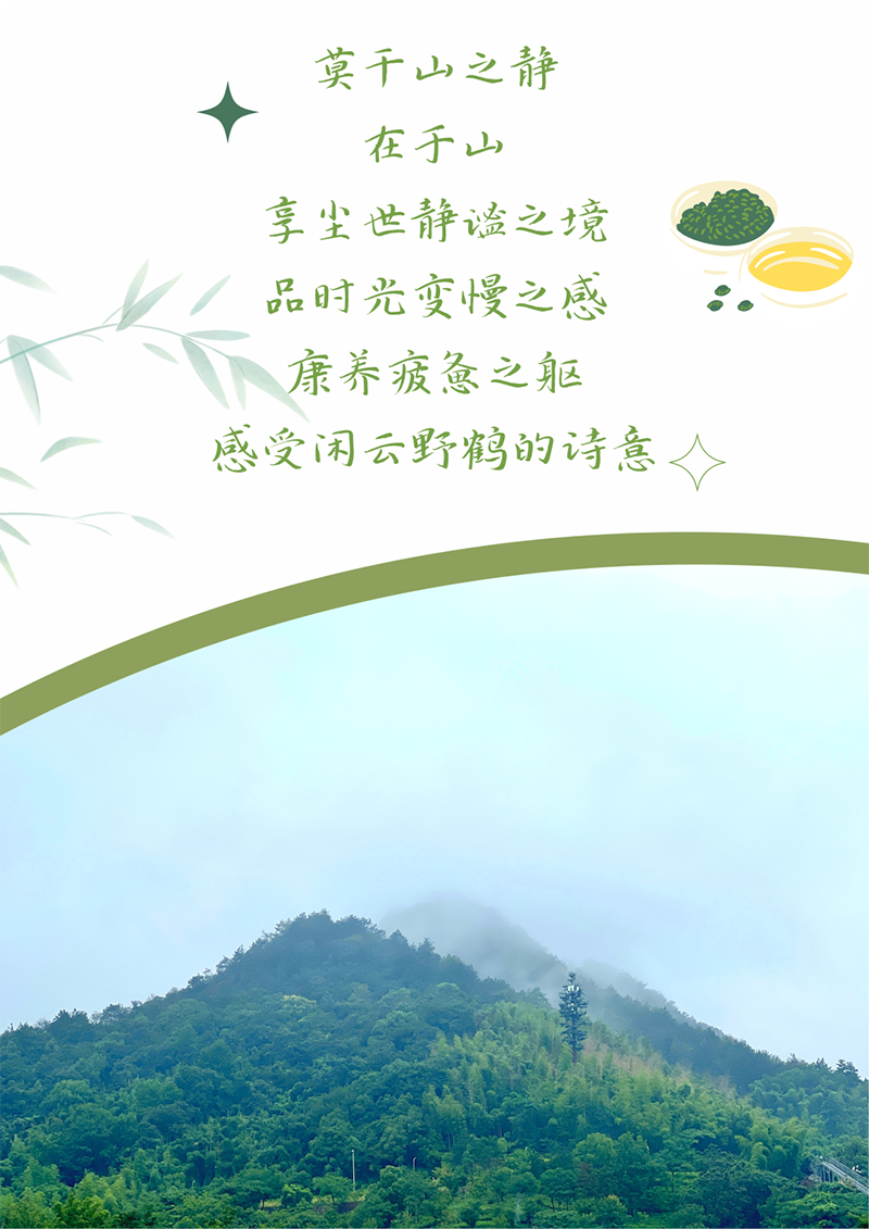 心心念廿 相伴豪利777 | 与德清相约 贺廿载诞辰