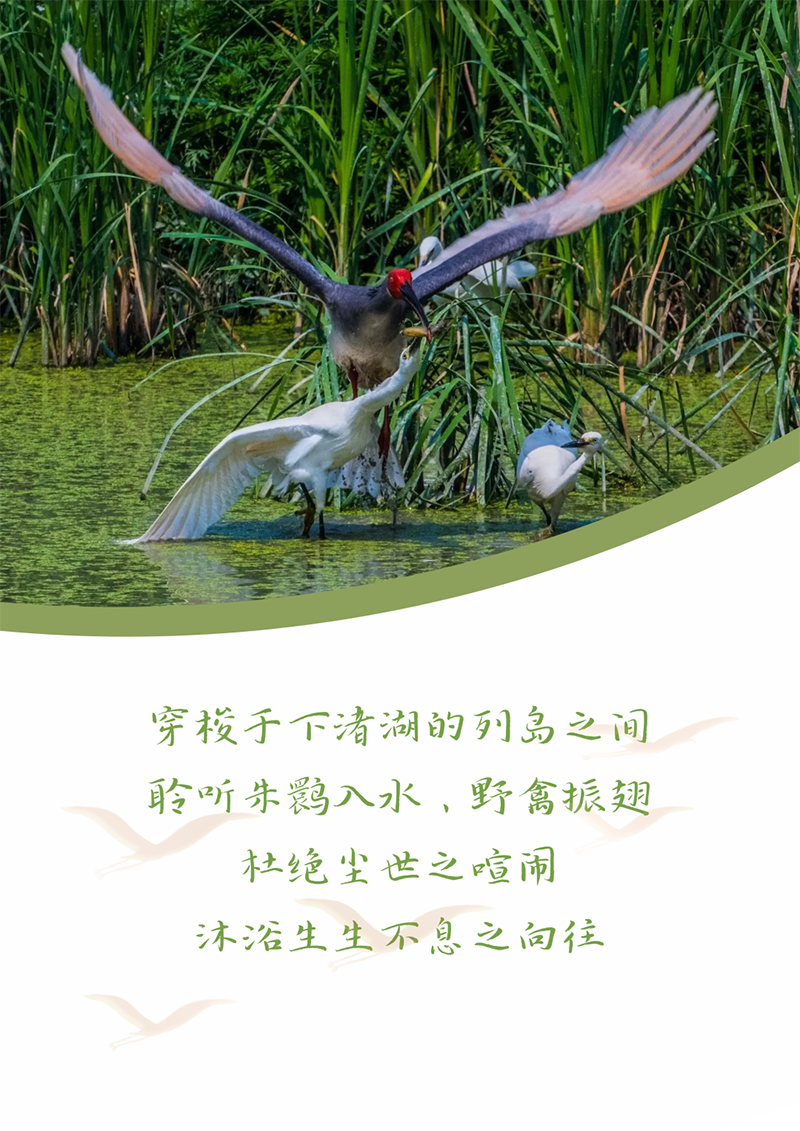 心心念廿 相伴豪利777 | 与德清相约 贺廿载诞辰